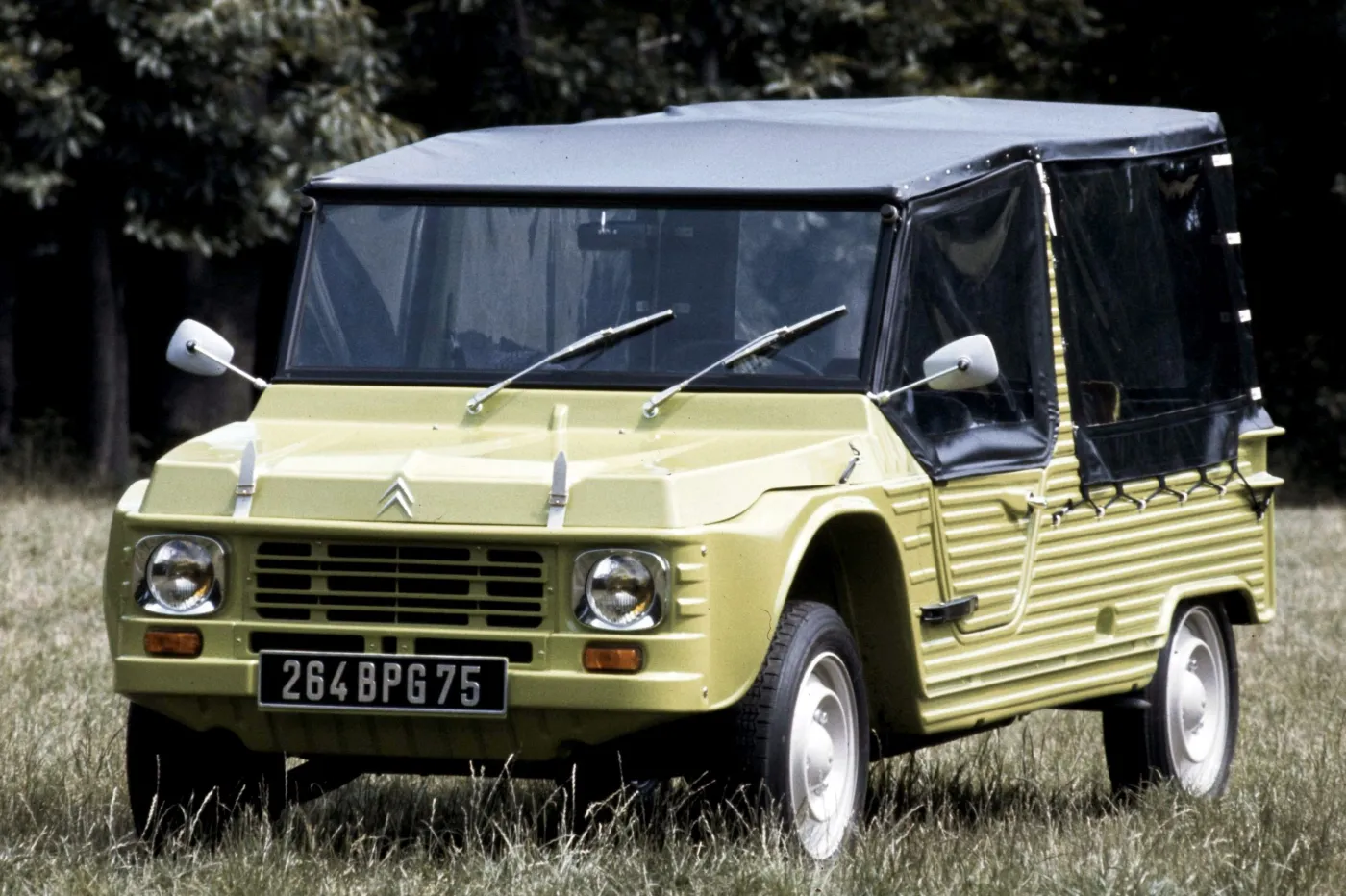 8166274-citroen-mehari.jpg