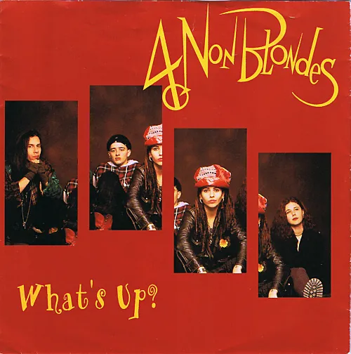 7883268-4-non-blondes.jpg