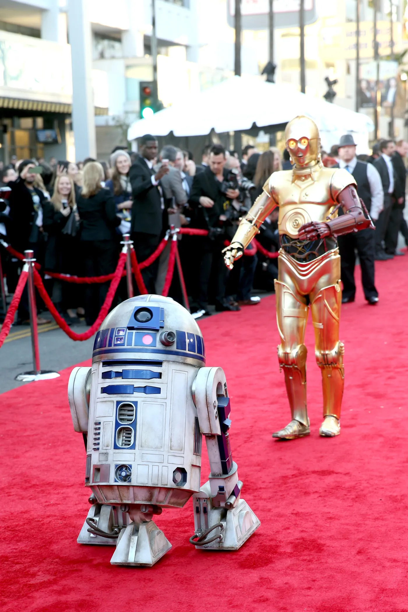 8546857-r2-d2-i-c-3po.jpg