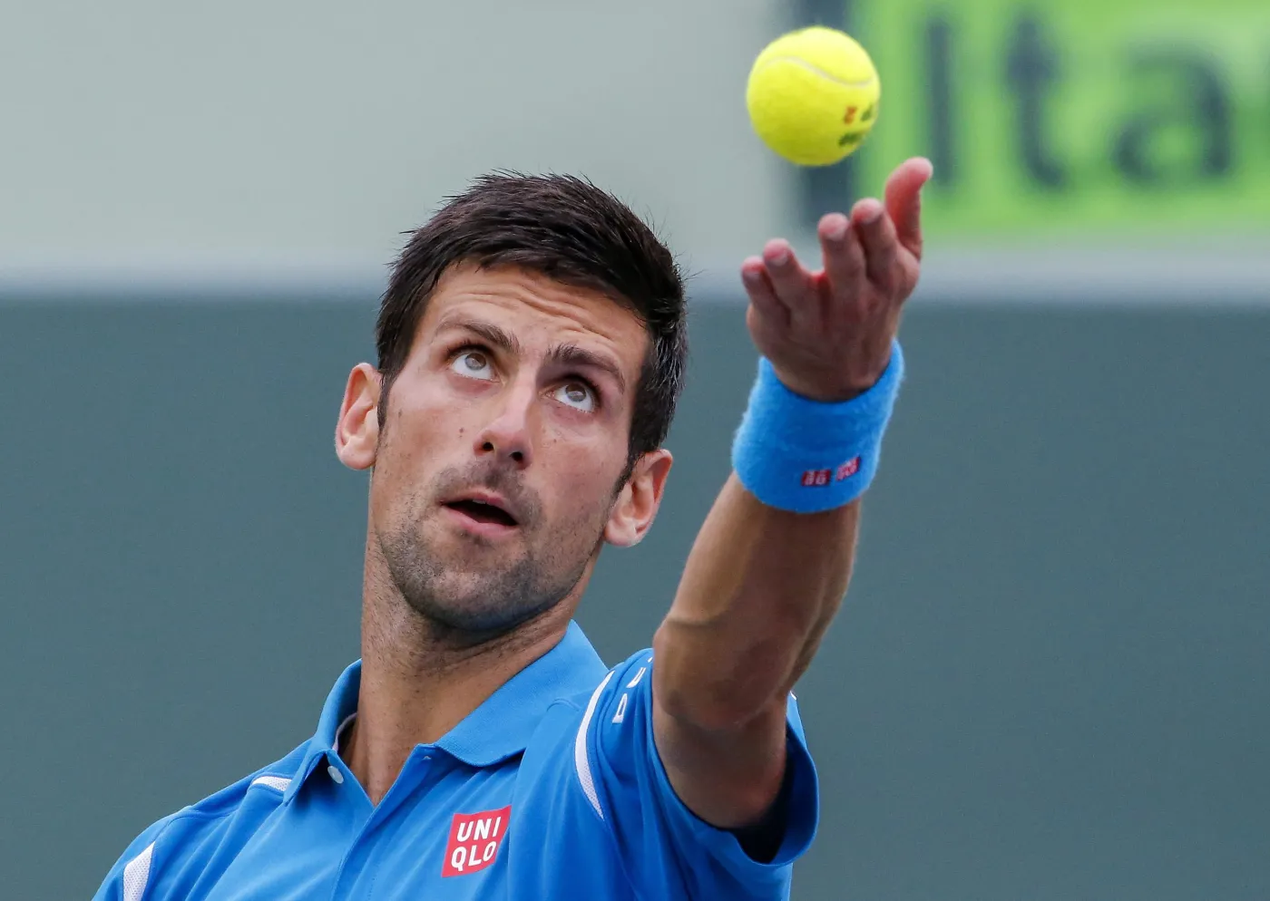 8900408-novak-djokovic.jpg