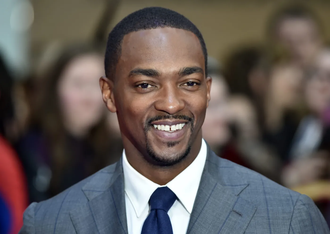 8978679-anthony-mackie.jpg