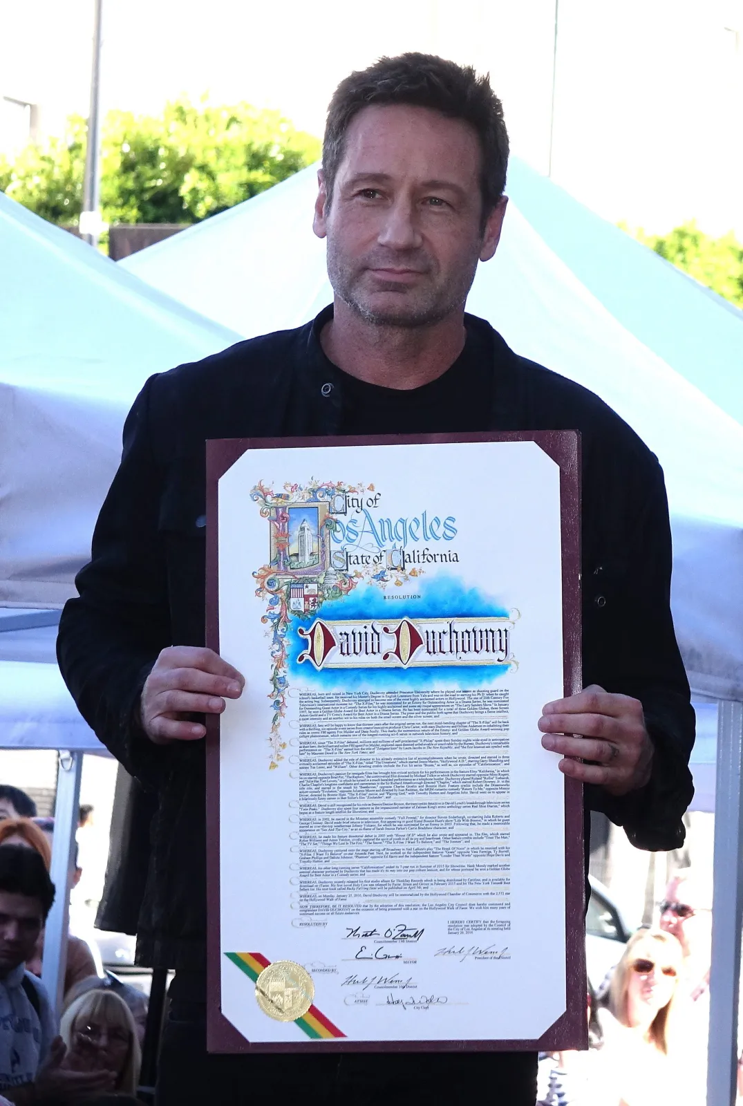 8671554-david-duchovny.jpg