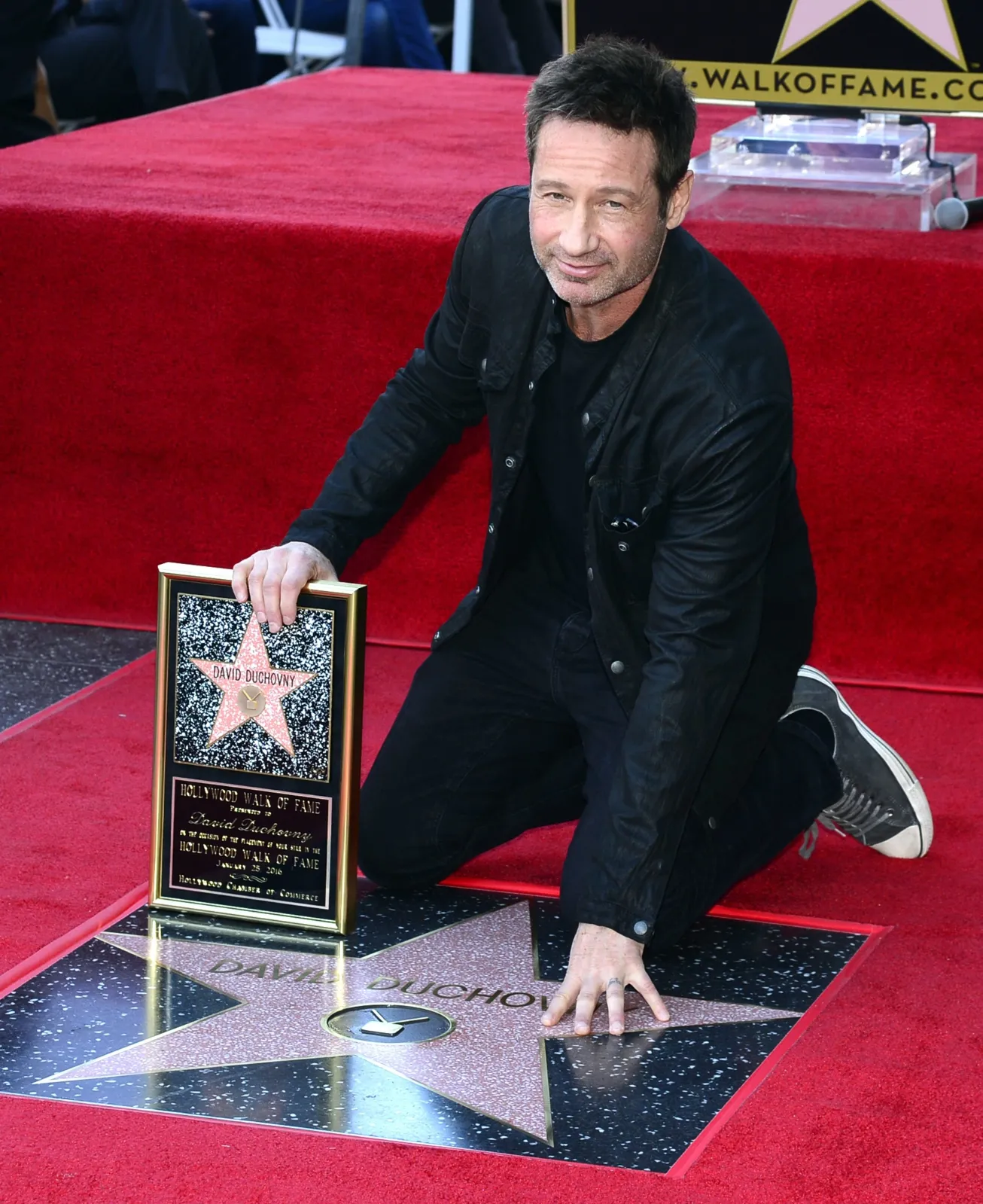 8671586-david-duchovny.jpg