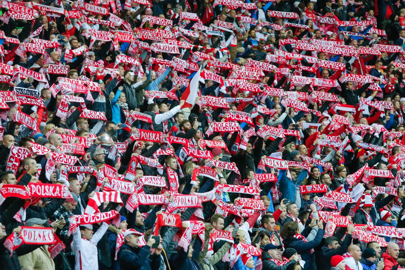 Polscy kibice