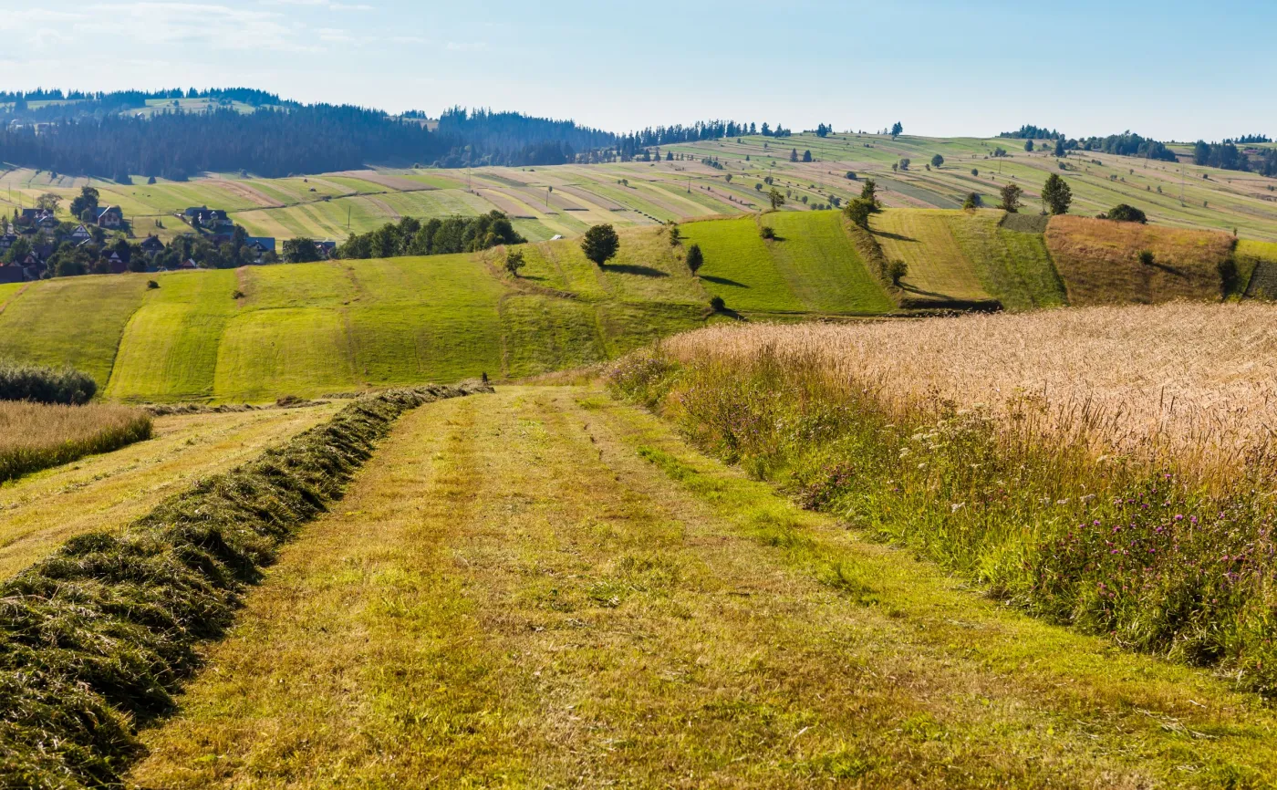 Obrót gruntami rolnymi po nowemu? Co zmienia nowelizacja ustawy o kształtowaniu ustroju rolnego?