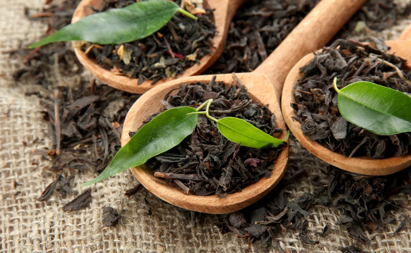 Liście herbaty