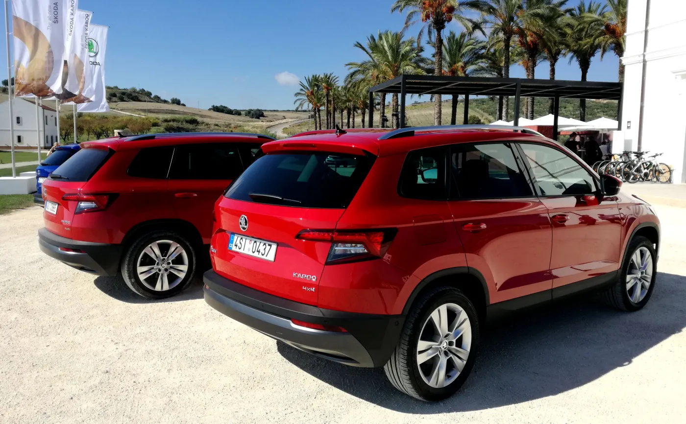 10697659-skoda-karoq.jpg