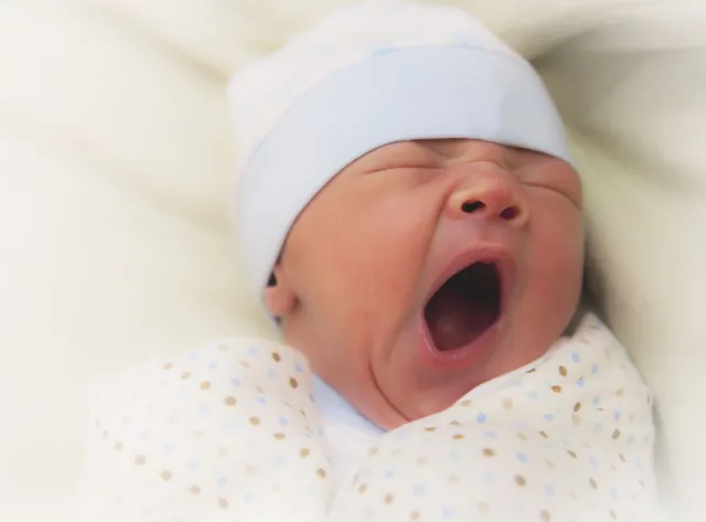 Ginekolog-położnik: Moi pacjenci ocenili, że w kampanii chodziło o to, żeby znajomi pewnego królika mogli zjeść sałatę