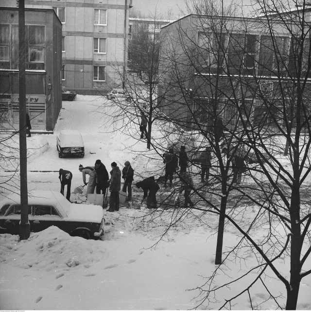 "Było zupełnie biało, jak w zupie mlecznej". Jak wyglądała zima stulecia?