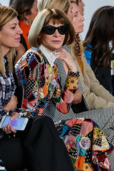 11498156-anna-wintour.jpg