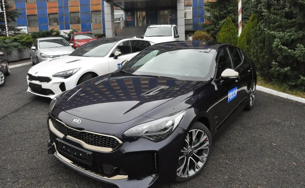 11788116-kia-stinger.jpg