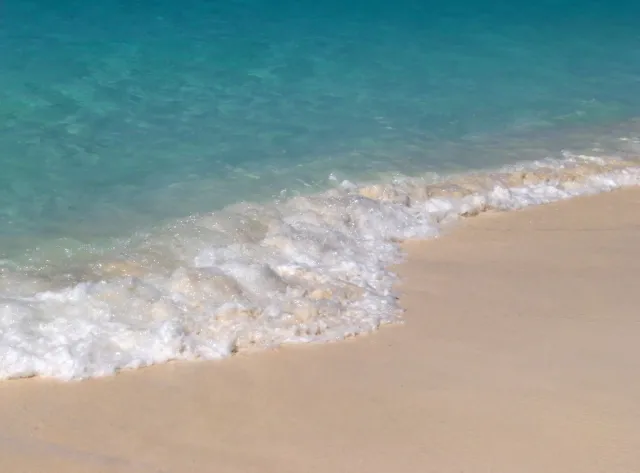 Sinice nad Bałtykiem. Nieczynne tylko jedno nadmorskie kąpielisko