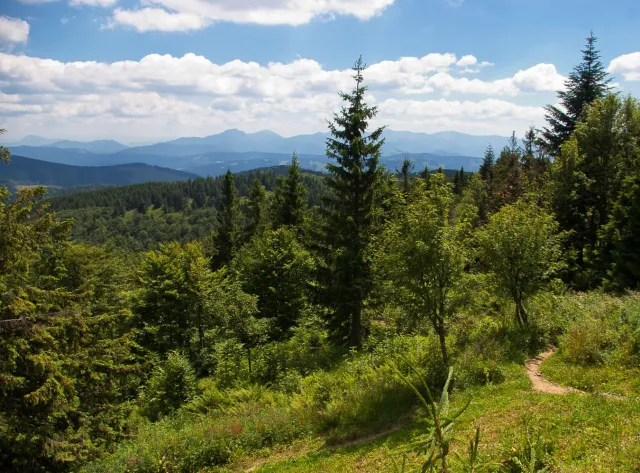Beskid Śląski i Szczyrk - wspaniałe miejsca nie tylko zimą
