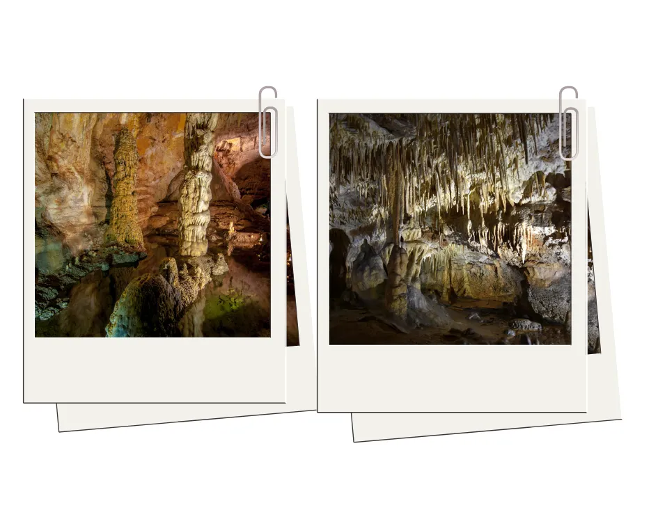 12542334-20190821-jaksinia-raj-i-lechuguilla-travelist.png