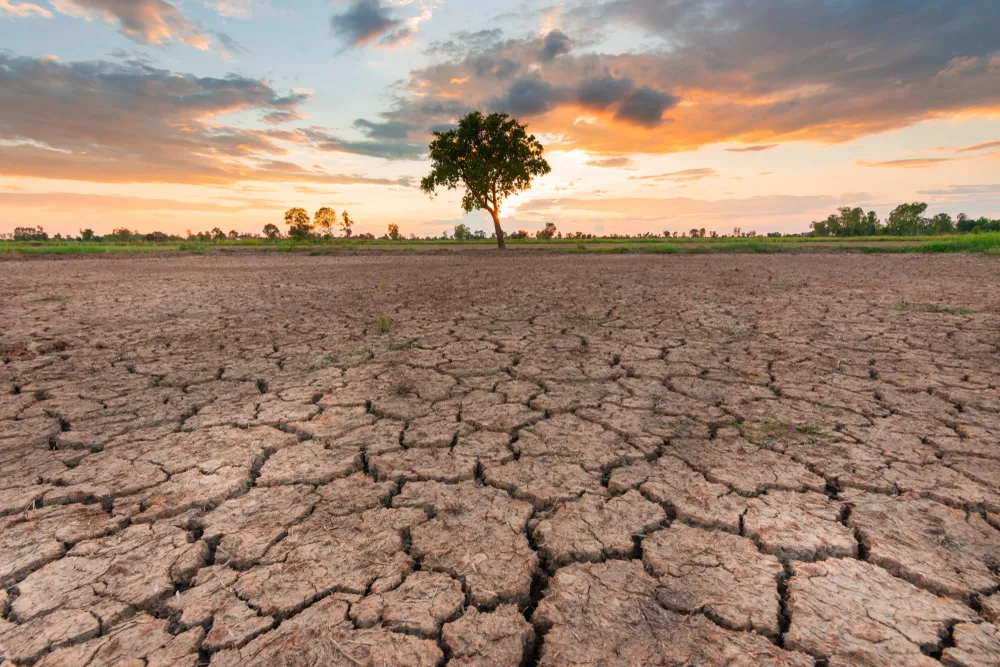 Nathaniel Rich "Ziemia", czyli katastroficzna literatura faktu [RECENZJA]