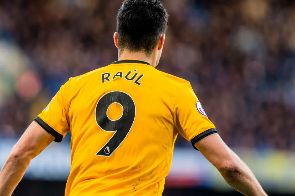 Raul Jimenez