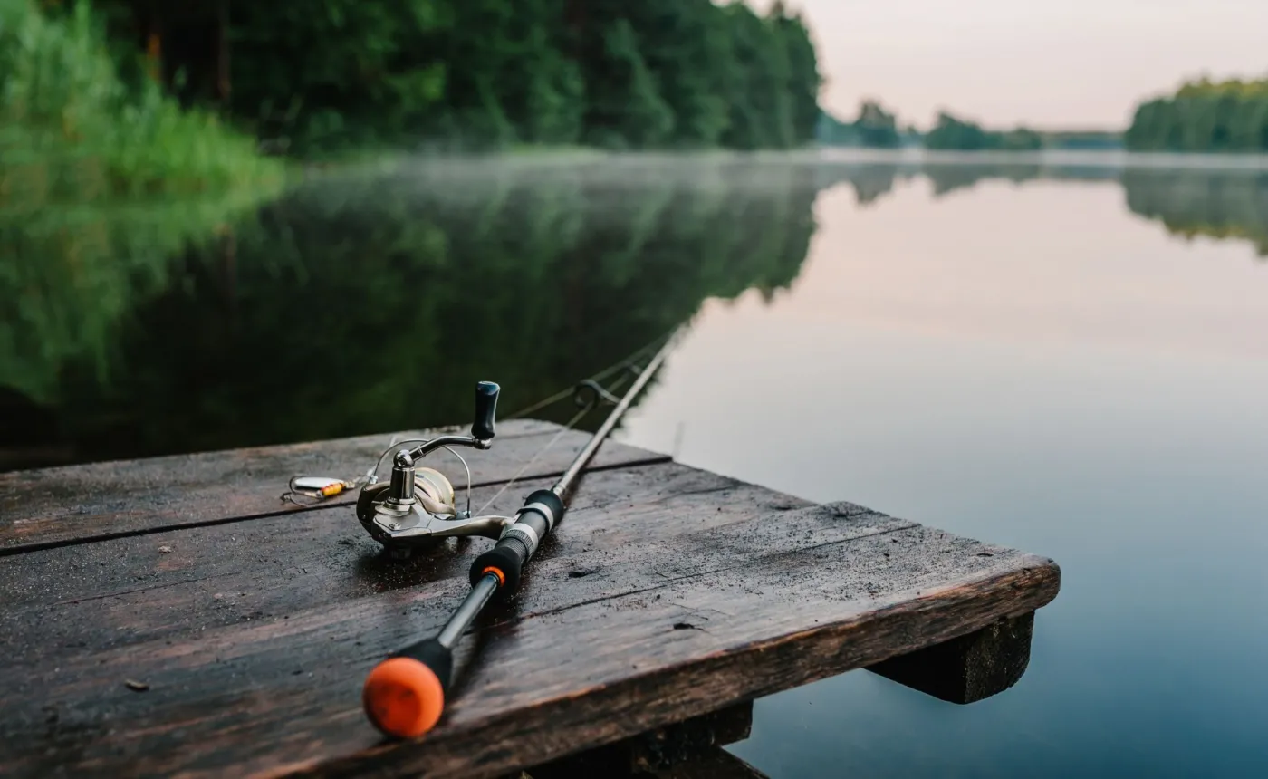 Podlaskie: Turysta spotkał drapieżnego żółwia z USA