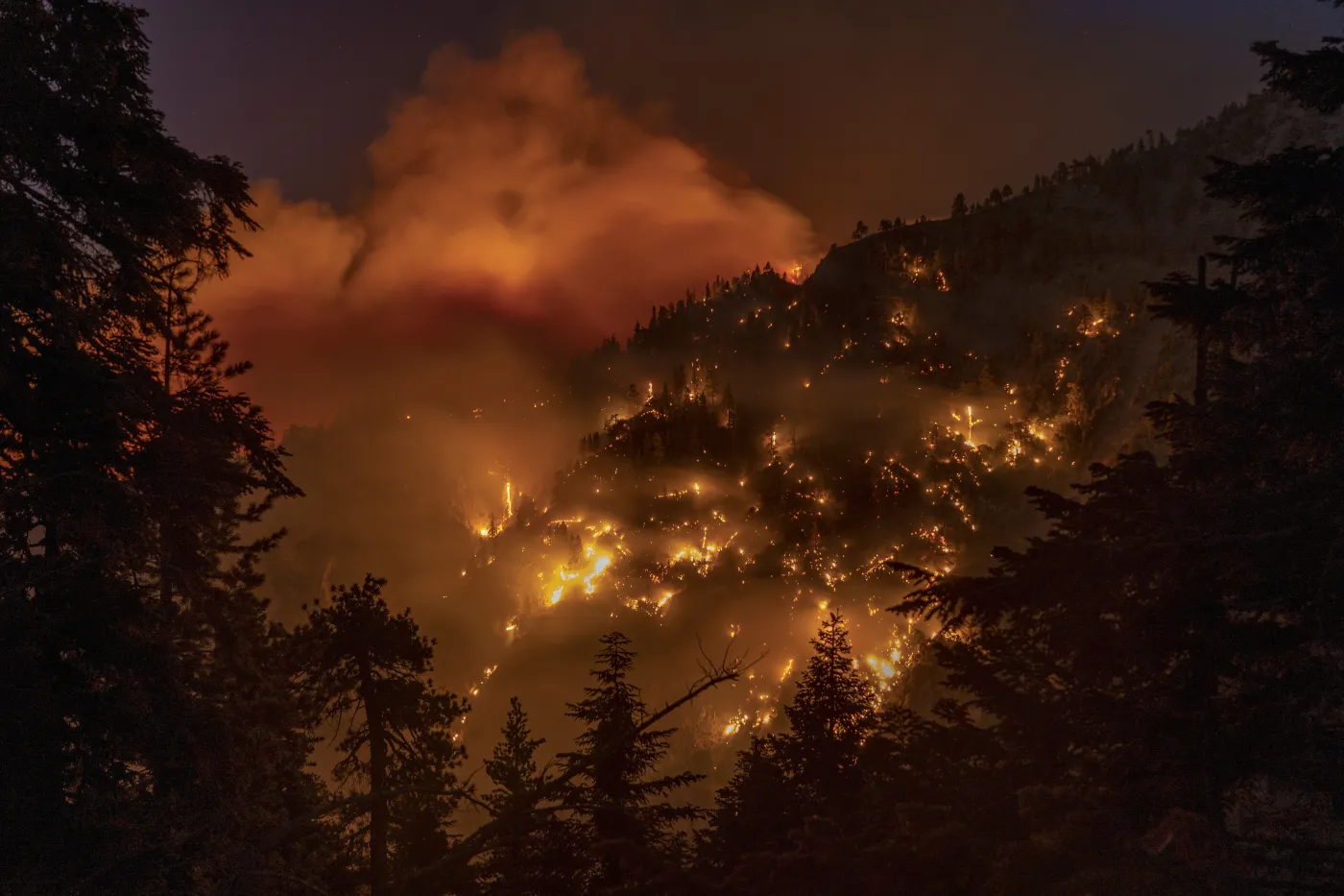 Ogromny pożar zagraża domom koło Los Angeles