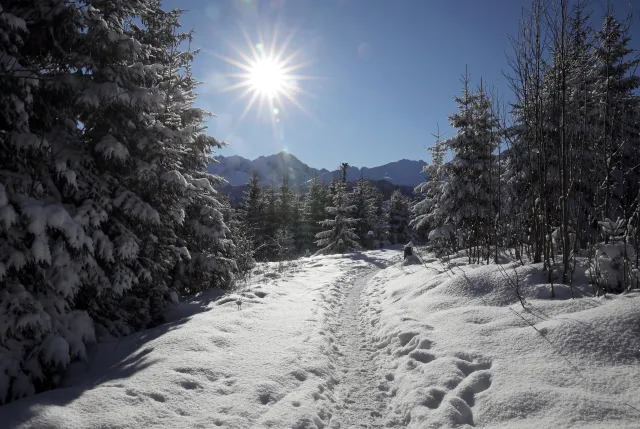 IMiGW ostrzega przed zawiejami i gołoledzią