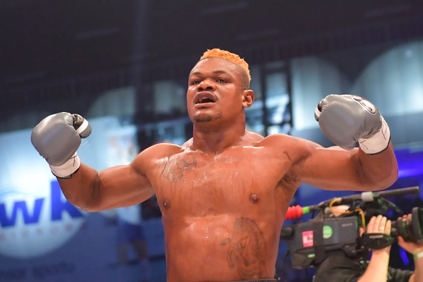 Kalenga znokautował Plesnika w walce wieczoru na gali Rocky Boxing Night