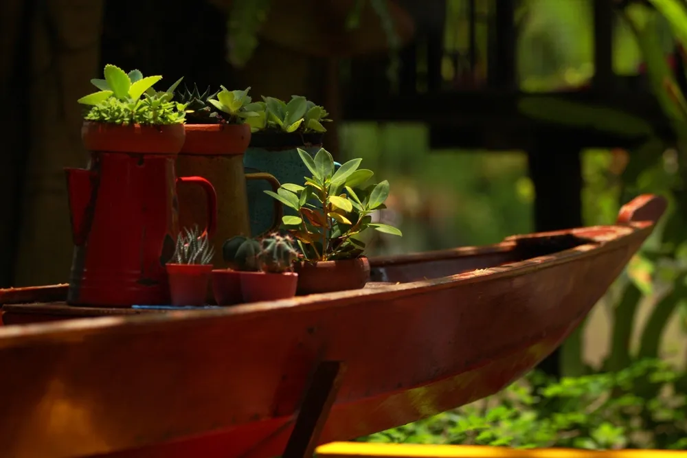 Każdy chce mieć swoje RODOS. Rośnie zainteresowanie i cena ogrodów działkowych