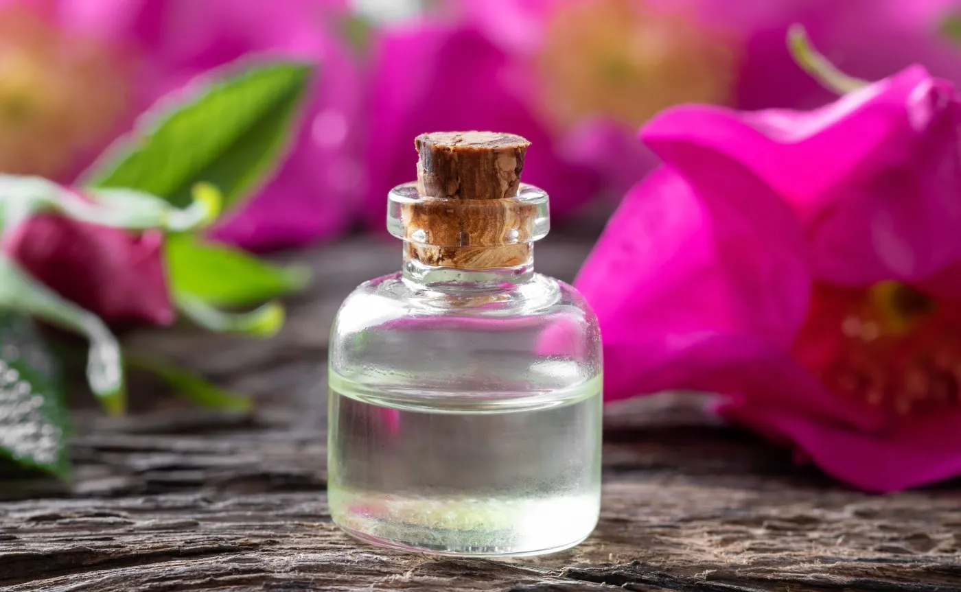 Badania: Olej z róży pomarszczonej  może być wykorzystywany w profilaktyce raka