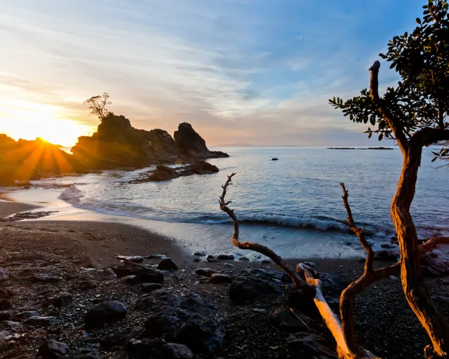 Nowa Zelandia: Lockdown po wykryciu jednego zakażenia koronawirusem