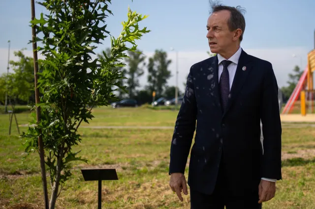 Grodzki: Pewne pomruki świadczą o tym, że przedterminowe wybory są możliwe