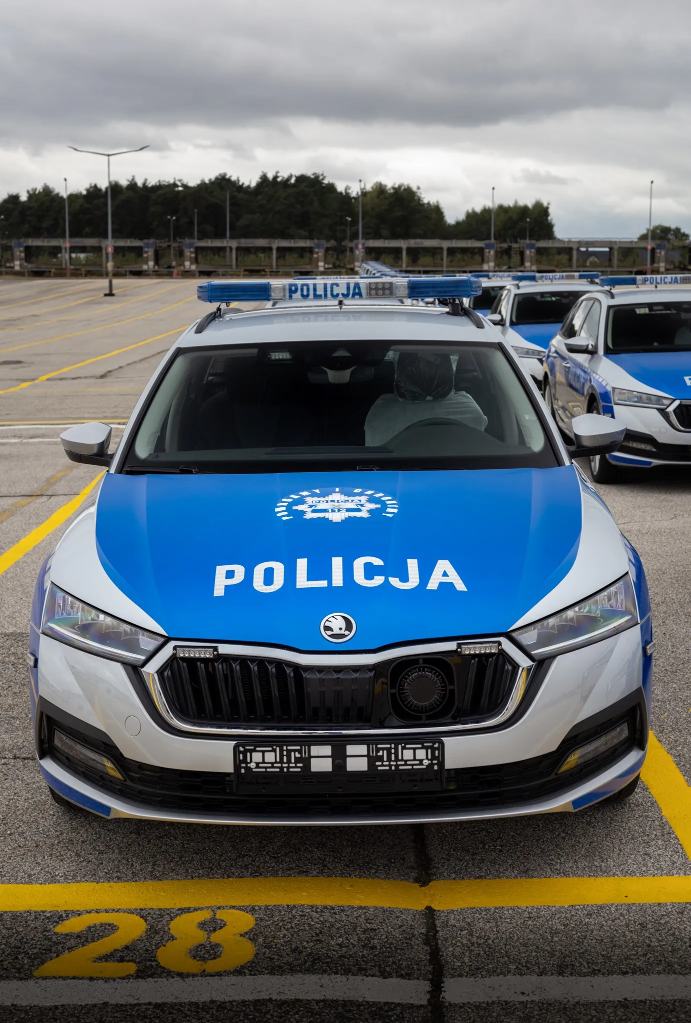 skoda-octavia-37258279.jpg