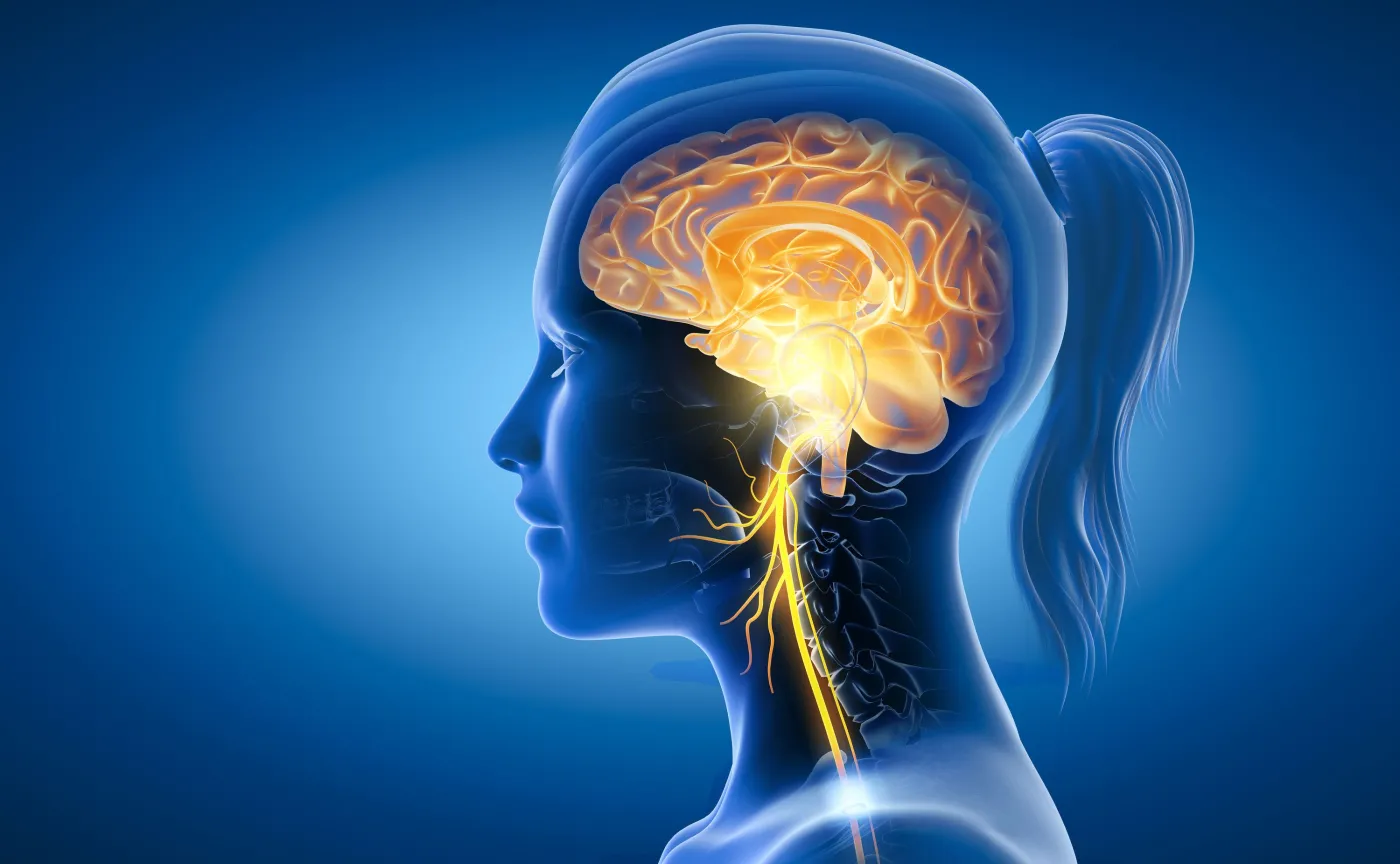 Co potrafi twój nerw błędny? Jak go stymulować?