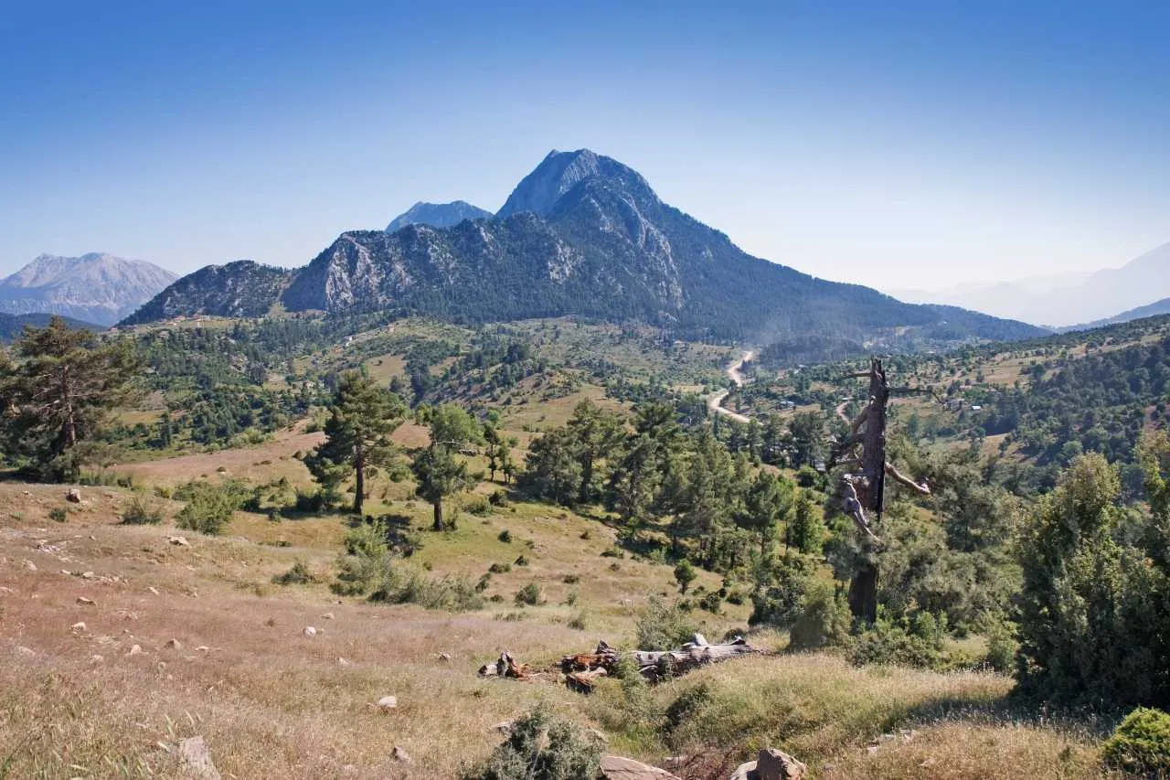 Niezwykłe odkrycie polskiego dyplomaty w Turcji. To "rozwiązuje odwieczną zagadkę"