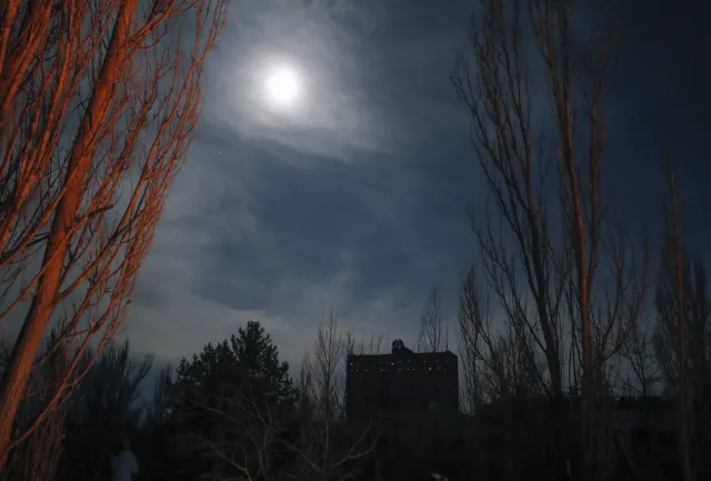 Rosjanie napromieniowani w Czerwonym Lesie w Czarnobylu? "Samobójstwo"