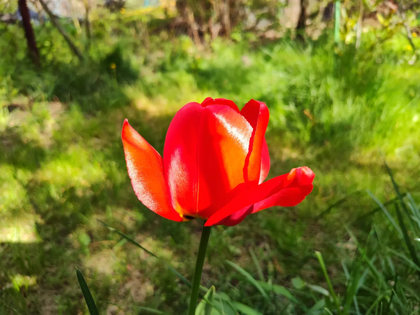 edge-30-pro-37455103.jpg