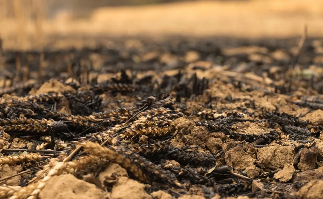 CNN: Oto nowe pole bitwy w wojnie z Rosją. "Robią to każdego dnia"