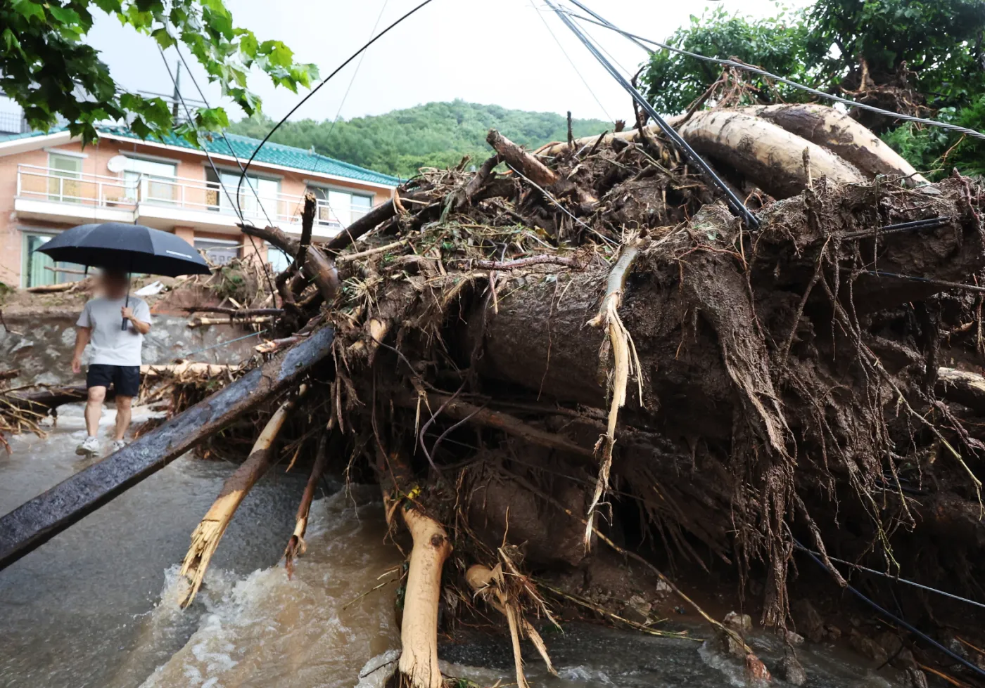 W Seulu największe ulewy od 115 lat. Zginęło osiem osób [ZDJĘCIA]