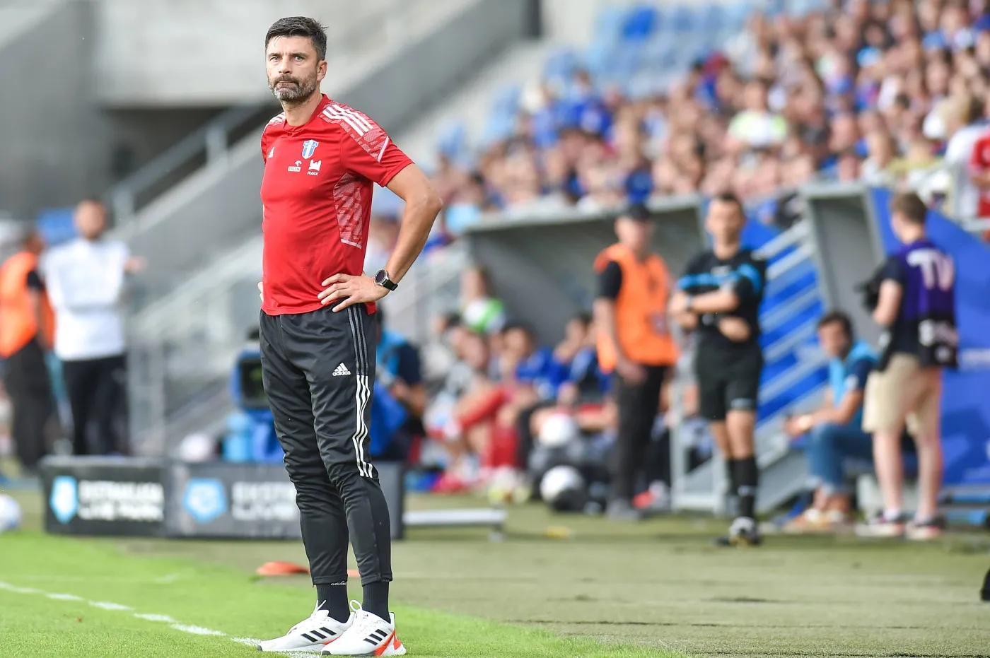 Pavol Stano: Wiemy, że Kamil Grosicki jest w dobrej formie