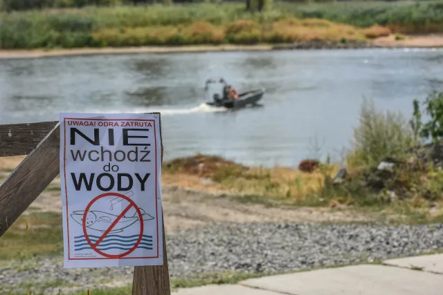 Polityczne porachunki za Odrę. Zaognia się spór między PiS a Solidarną Polską