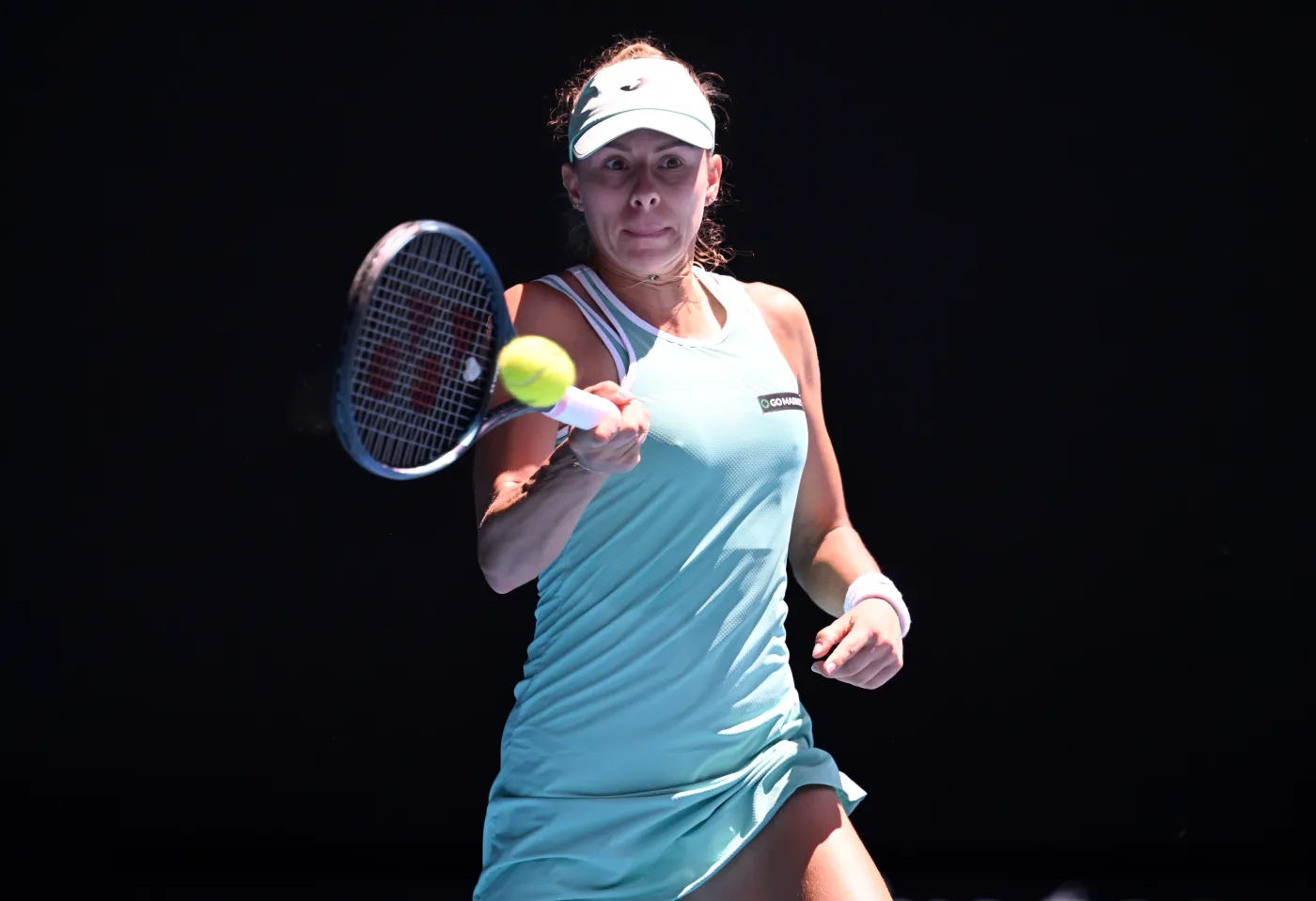 Agnieszka Radwańska: Linette na pewno ma szanse pokonać Pliskovą