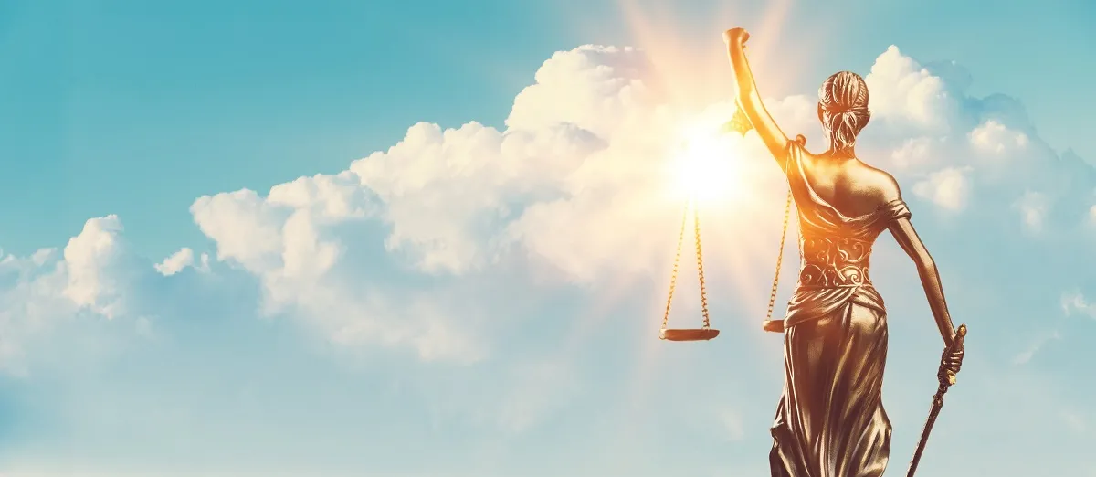 Zdjęcia europosłów na szubienicach. Zapadł WYROK