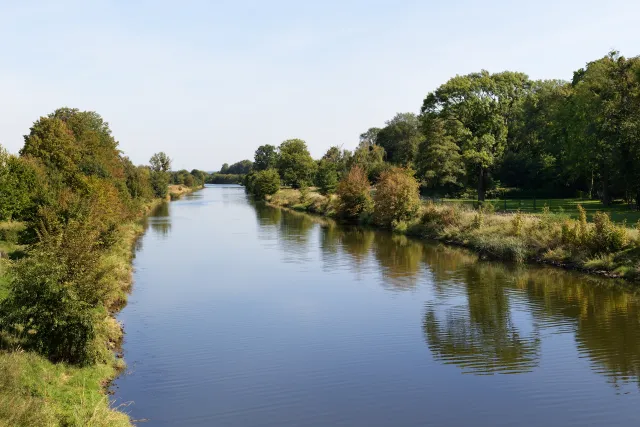 Śnięte ryby w Kanale Gliwickim. MKiŚ: Sztab kryzysowy podjął pilną decyzję