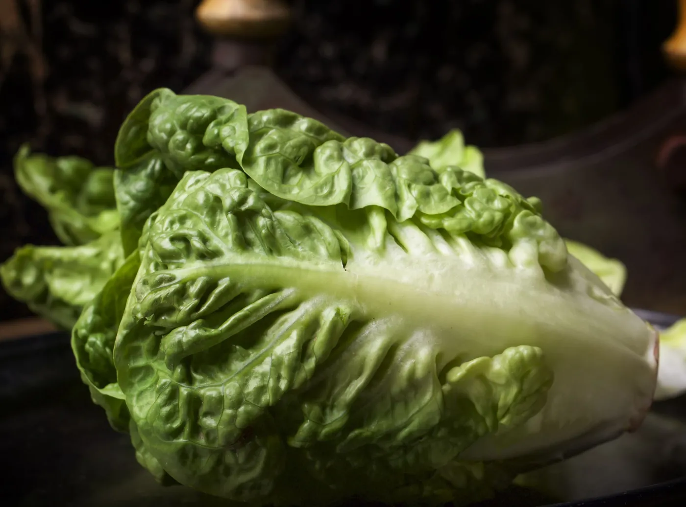 Prosty trik ogrodnika. Już nigdy nie kupisz sałaty w sklepie!