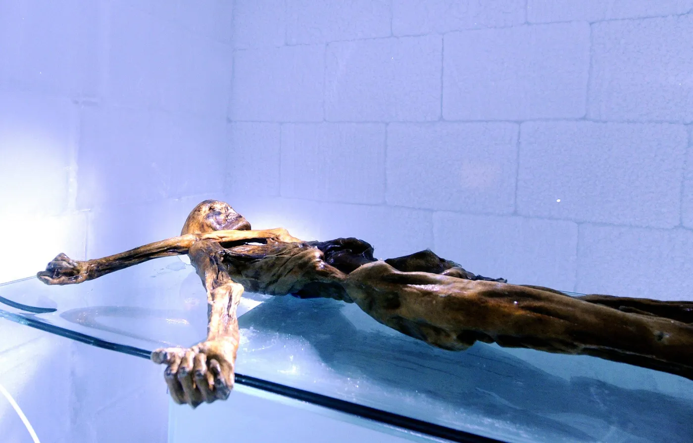 Zdumiewające wyniki badań: Człowiek Lodu miał ciemną karnację