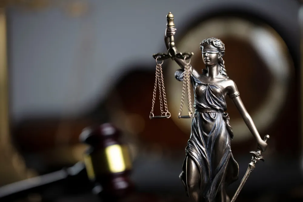 Opioidowy majątek. "Przepis na nadużycie prawa"