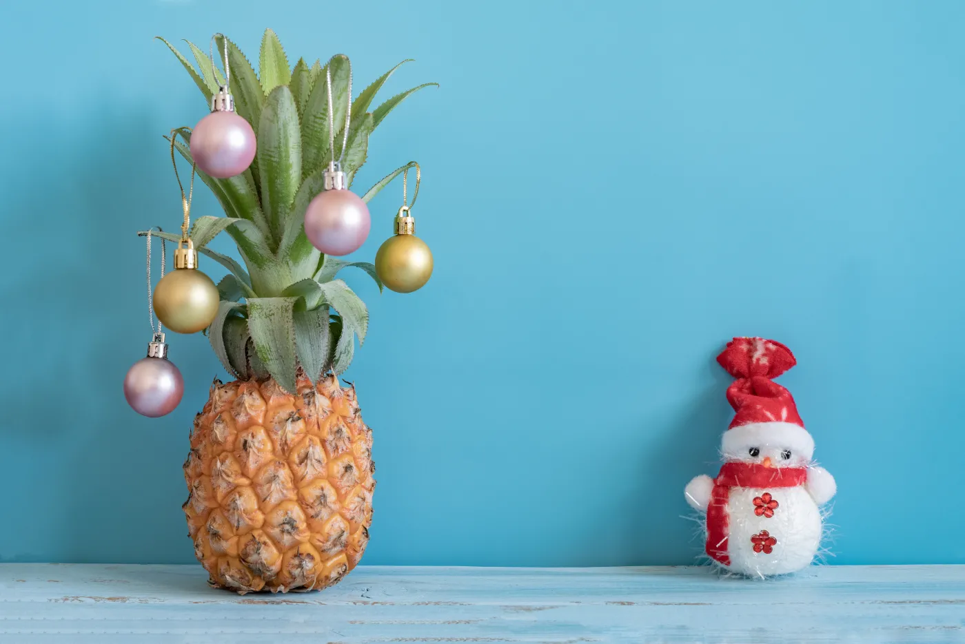 Jak przystroić domowe rośliny, by nabrały świątecznego sznytu [FOTO]