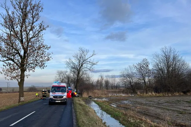 Śmierć na drodze w okolicach Gliwic. Nie żyje trzech mężczyzn