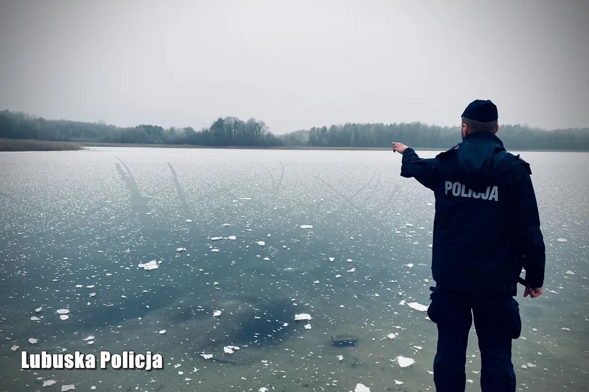 Lubuskie. Chłopcy ratowali tonącego psa. Załamał się pod nimi lód