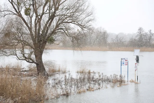 Jest kolejny rekord. Tegoroczny styczeń był najcieplejszym w historii