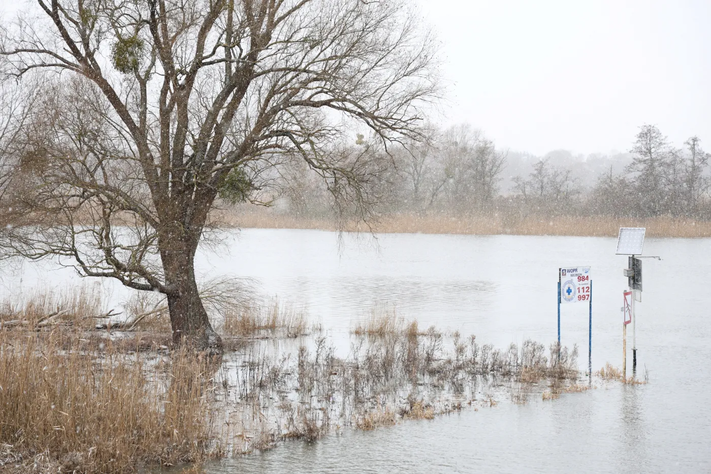 Jest kolejny rekord. Tegoroczny styczeń był najcieplejszym w historii