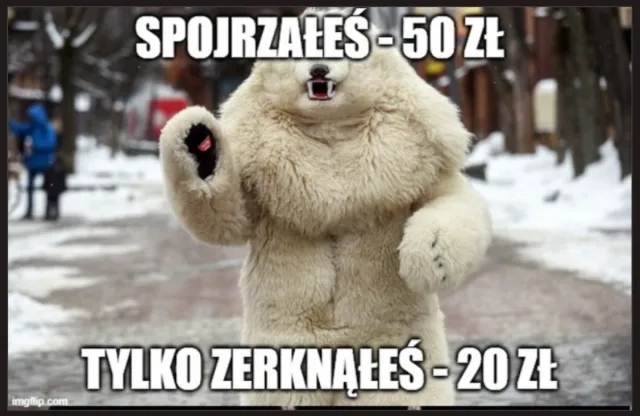 "Miś" z Krupówek królem Internetu. Memy z "misiem" zalały sieć. "Zróbmy sobie zdjęcie z tym ****" [MEMY]