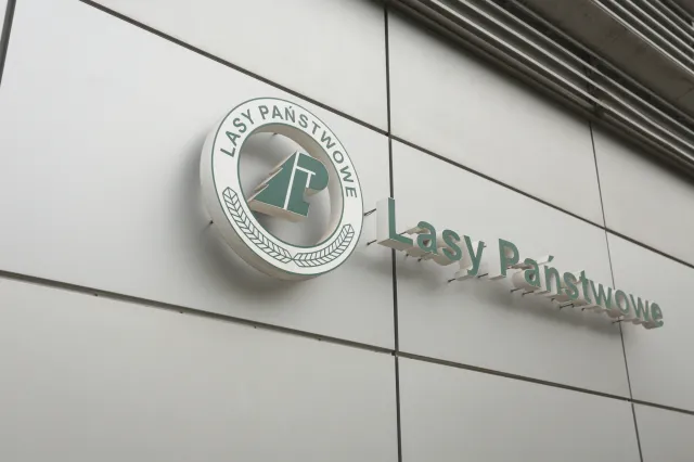 Billboardy w lasach. Jest zawiadomienie do prokuratury